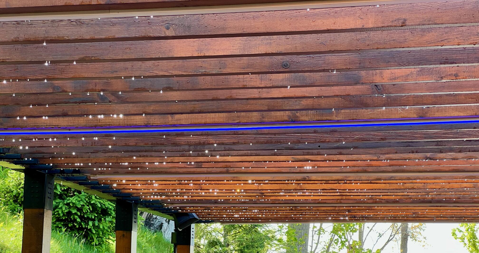 raindrops